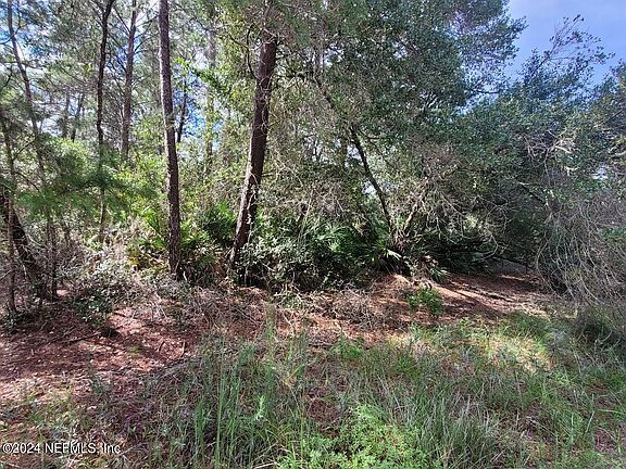 3rd image of 221 PONDEROSA PINE Court
