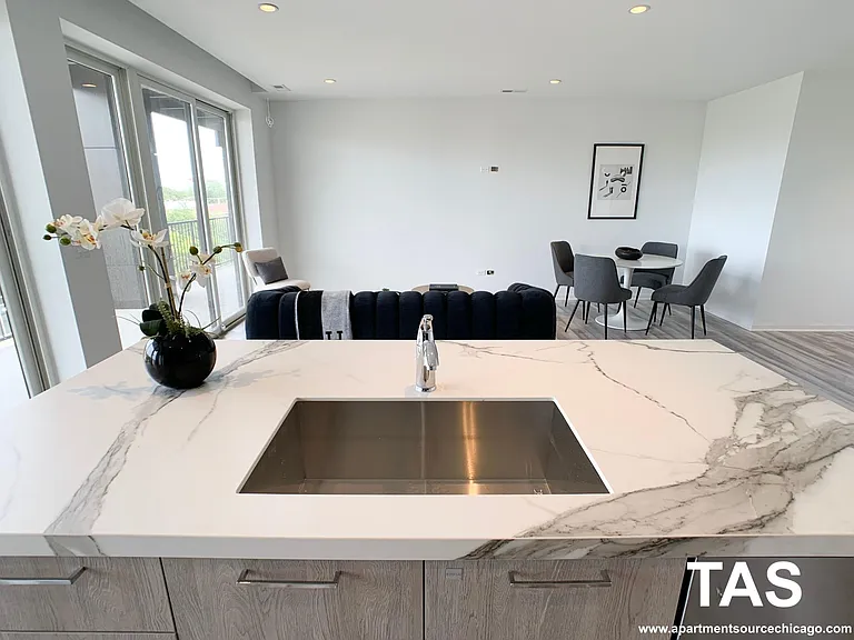 2535 W Fullerton Ave #506 — Photo 3