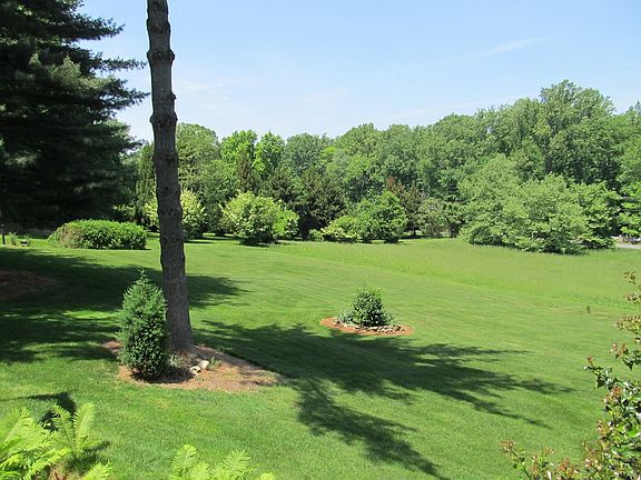 Back yard with privacy