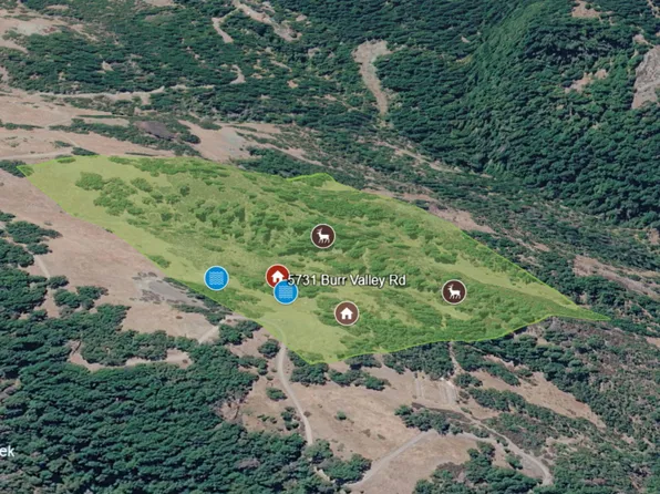 46/BURR Valley Rd, Bridgeville, CA 95526