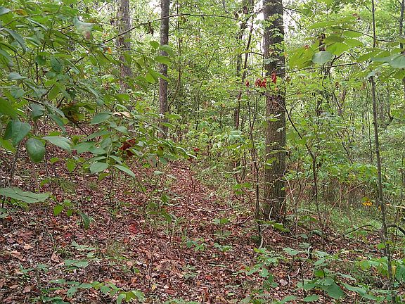 4th image of County Road 414