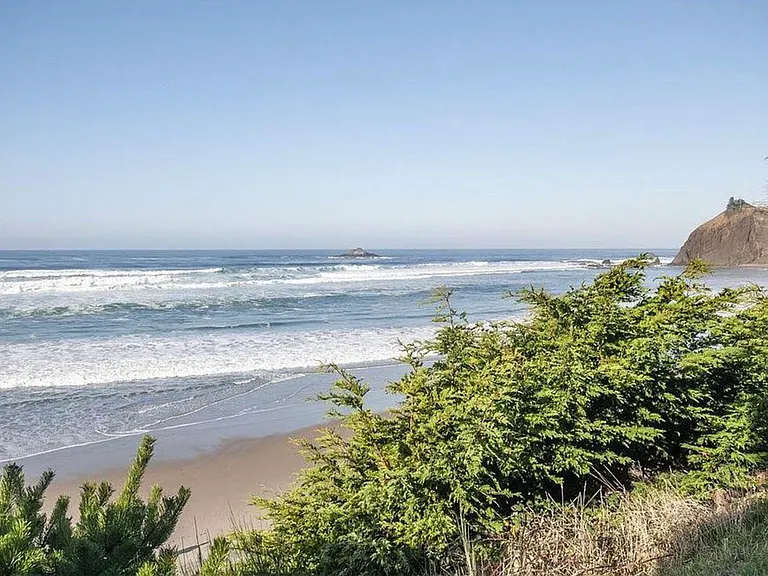 Bring your surf board!