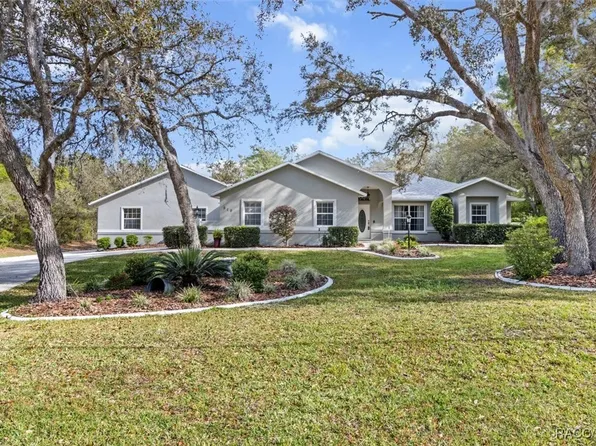 919 W Pearson St, Hernando, FL 34442