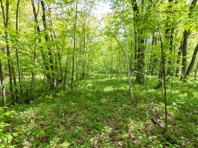LOT 15 133rd St, Amery, WI, 54001