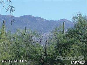 20100203020716509734000000-o[1]