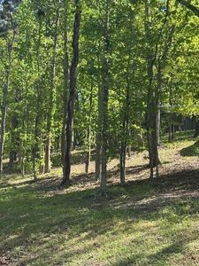 0 Royal Lodge Cir, Warm Springs, GA, 31830