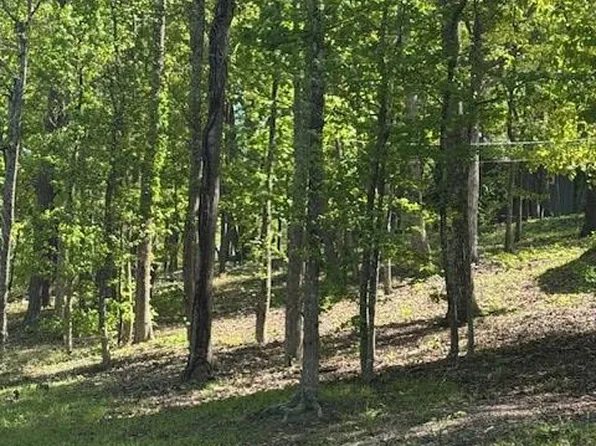0 Royal Lodge Cir, Warm Springs, GA 31830