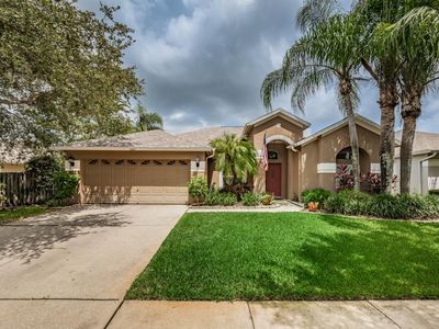 12307 Wycliff Pl, Tampa, FL, 33626