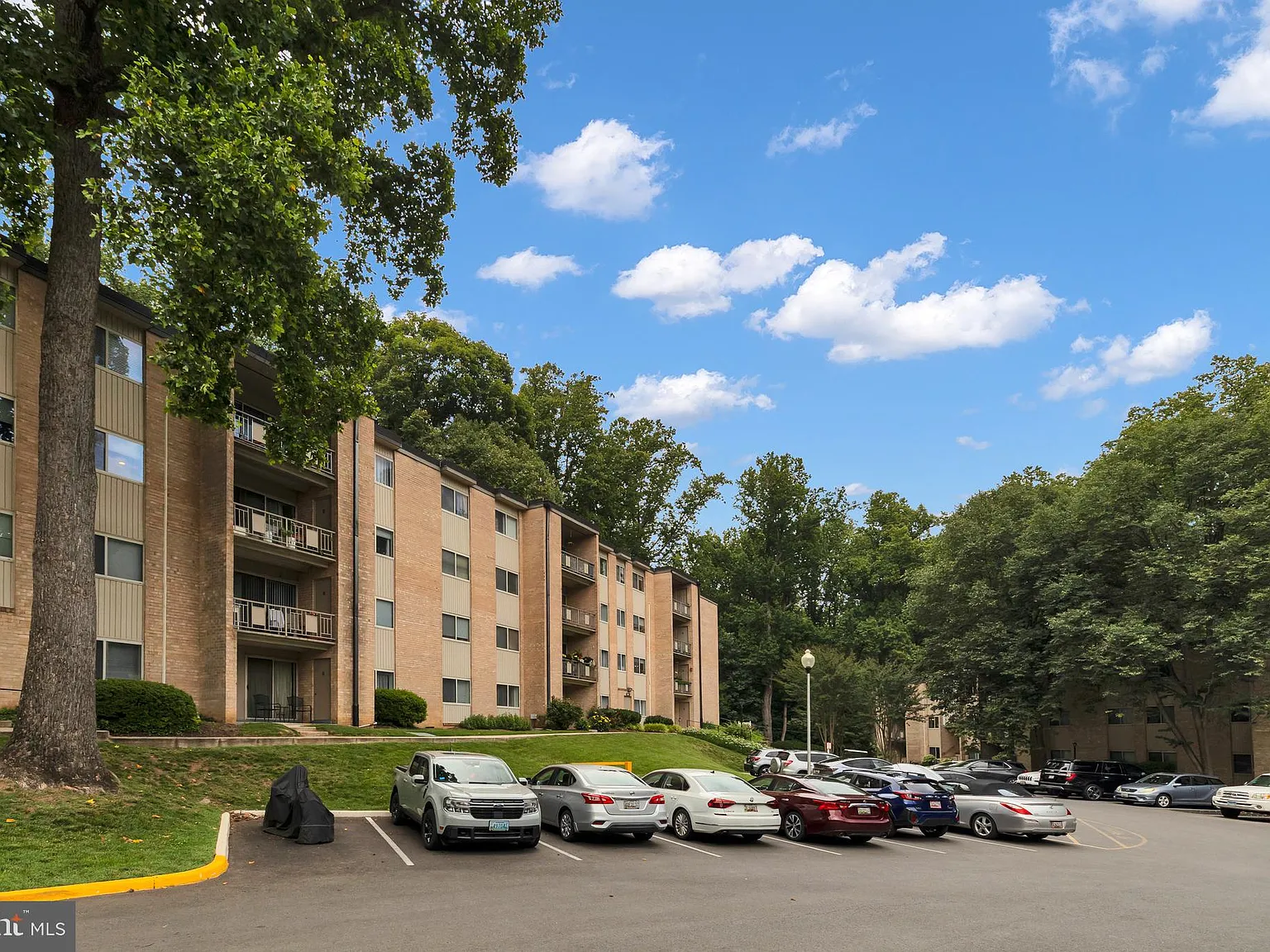 2 bed, 1.5 bath, 1007 sqft, $2,000 — Photo 3