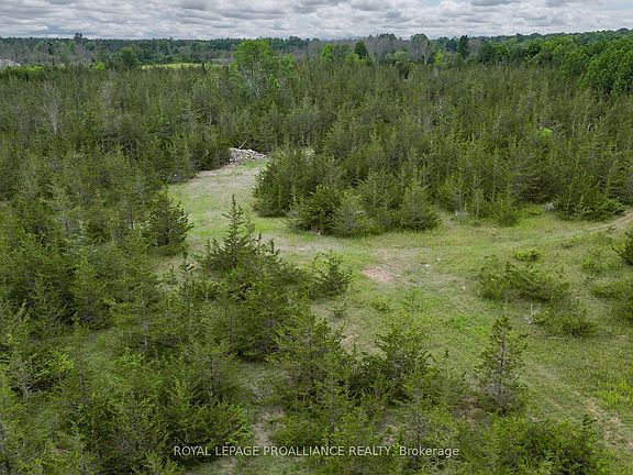 3rd image of 89 Power Rd