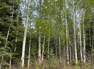 L34 Big Dipper Rd, Delta Junction, AK 99737
