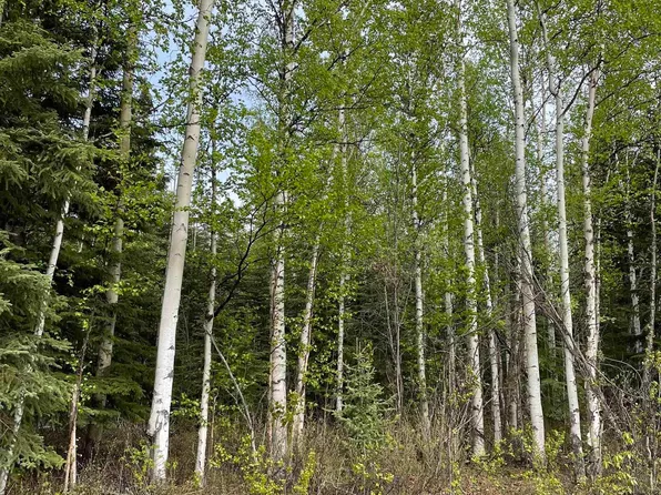 L34 Big Dipper Rd, Delta Junction, AK 99737