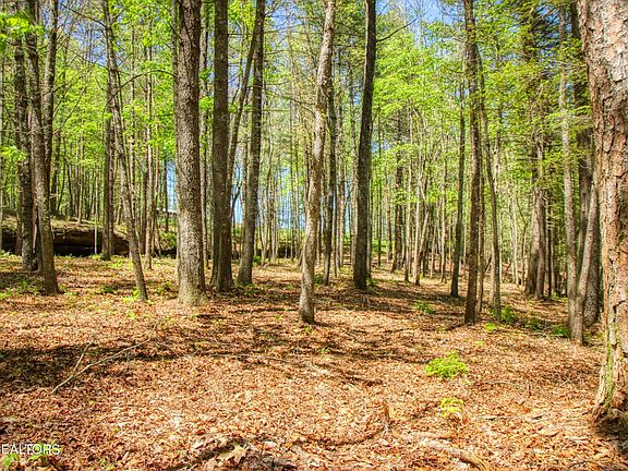4th image of 460 Wilderness Ln