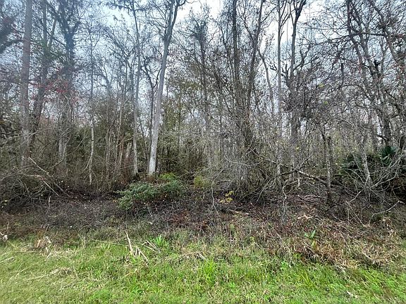 5th image of 1946 Co Rd 305