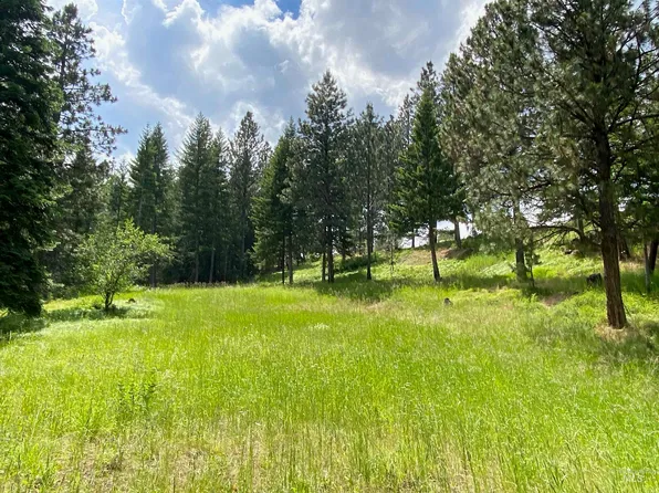 Nna Sangster Rd, Anatone, WA 99401