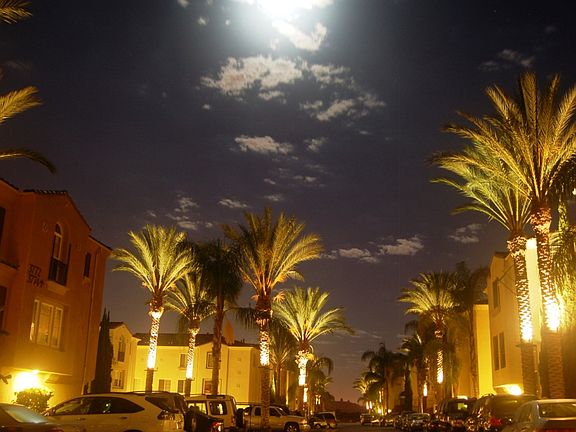 community night view