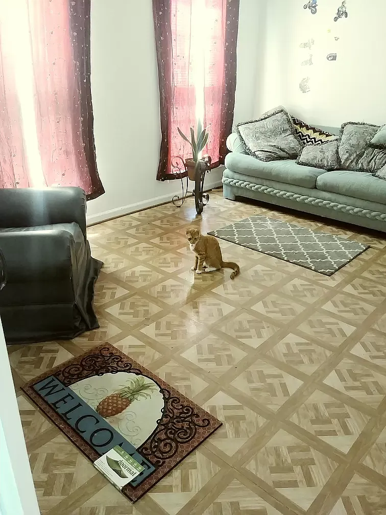 1 bed, 2026 sqft, $3,000 — Photo 1