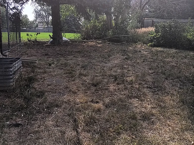 Large Backyard