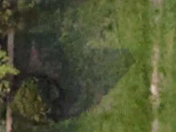 3505 Purington Ave, Fort Worth, TX 76103