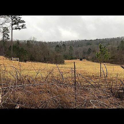 Pasture