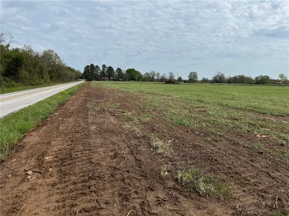 TRACT N Old Cincinnati Rd #C, Lincoln, AR 72744