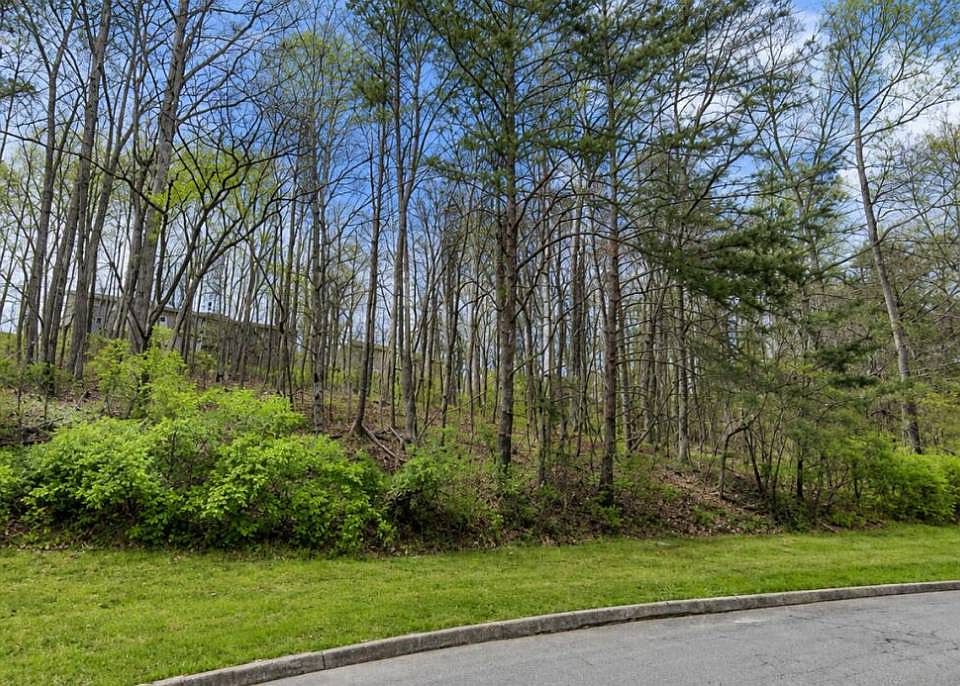 2nd image of 0 Hendrix Dr