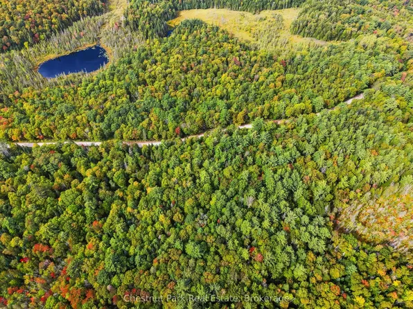 0 Paint Lake Rd, Lake Of Bays, ON P0B 1A0