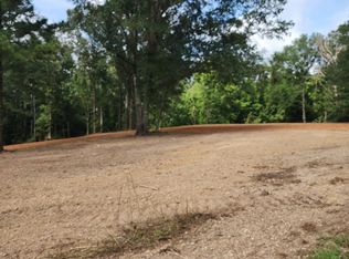 1075 Wooten Ln, Wesson, MS 39191