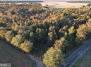 0 Blueberry Rd, Whaleyville, MD 21872