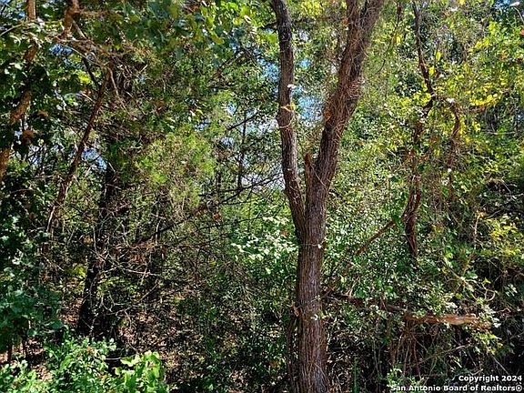 2nd image of Dale Cv