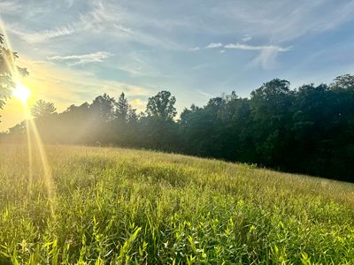 Reedy Addition Rd, Craigsville, WV, 26205