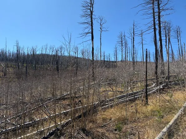 842 Slaoui Pl, Fort Garland, CO 81133