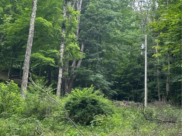 TBD CHESTNUT GROVE Road, Boone, NC 28607