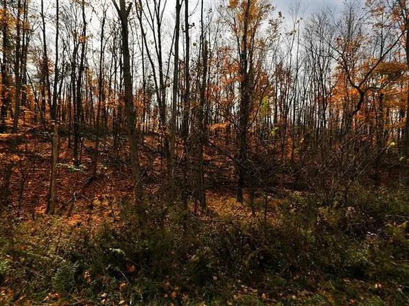 0 Sportsman Club Rd, Johnstown, OH 43031