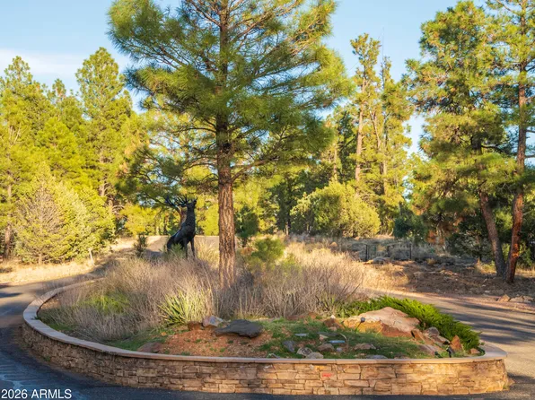 3633 SUNSET RIDGE Loop #166, Happy Jack, AZ 86024