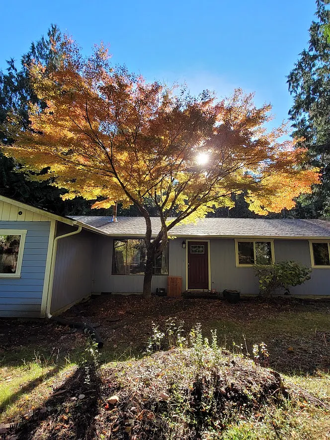 Rainwood Dr NW, Olympia — Photo 4