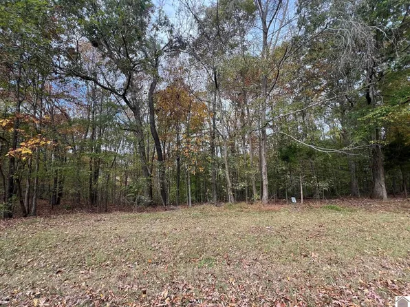 LOT 8 Bayshore Dr, New Concord, KY 42076