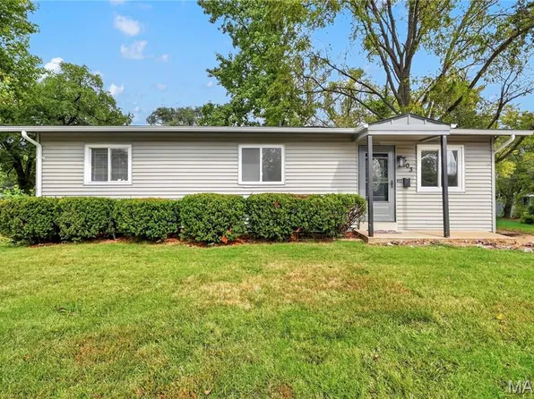 703 Ferguson Ave, Saint Louis, MO 63135