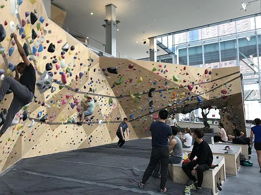 Rented by Bold New York | media 1