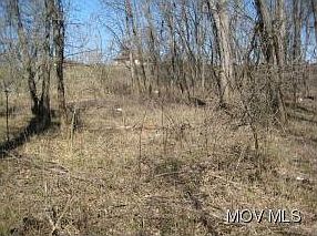 2nd image of 1604 Camden Ave