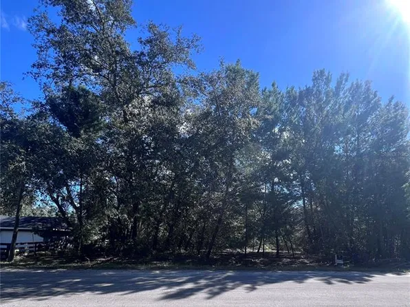 FISHER WAY TRAIL LOT 32, OCKLAWAHA, FL 32179