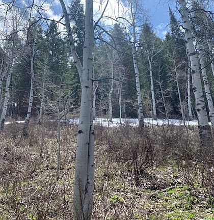 4th image of 550 Red Fir Way