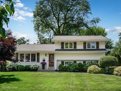 6006 Osage Ave, Downers Grove, IL, 60516