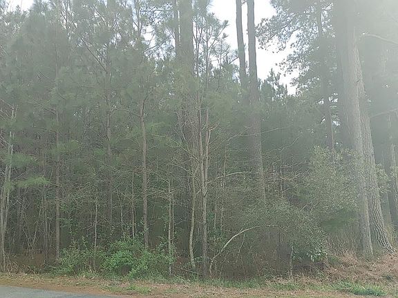 3rd image of LOT 1 Fairway Dr