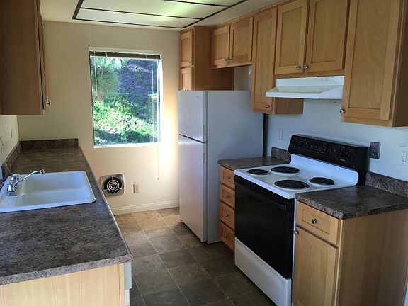 Remodel kitchen cabinets and counters