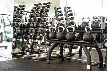 Rented by Bold New York