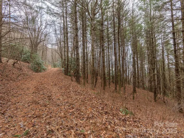 0 Bald Creek Rd, Clyde, NC 28721