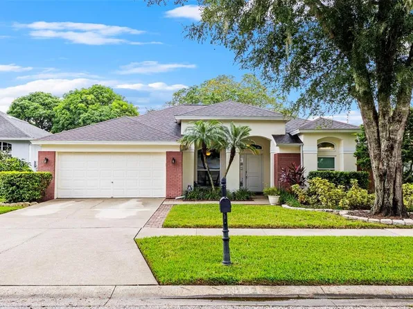 12801 BIG SUR DRIVE, TAMPA, FL 33625