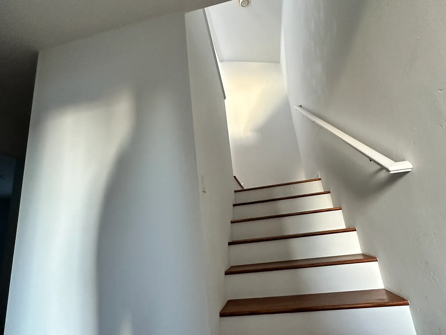 3 bed, 1607 sqft, $4,750 — Photo 3