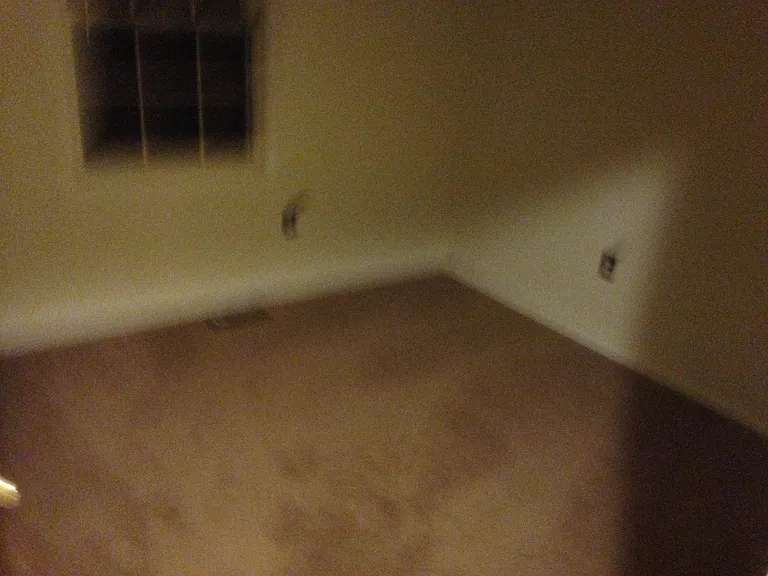 9056 Old Hickory Ct — Photo 21